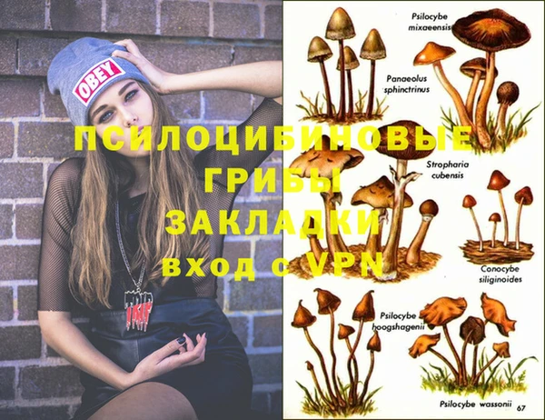 гидропоника Бородино