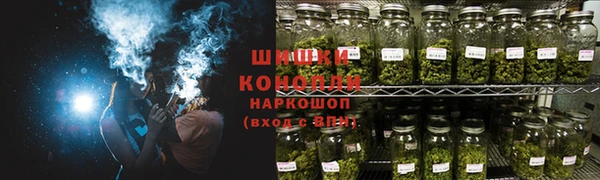 ГАЛЛЮЦИНОГЕННЫЕ ГРИБЫ Бронницы