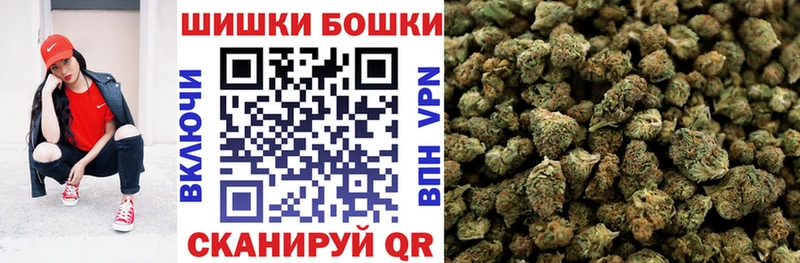 Бошки Шишки планчик  Купить закладки  Горно-Алтайск 